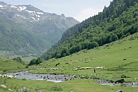 Philippe Nicard consacre une partie de ses loisirs à la randonnée en Haute-Savoie.