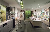 L'intérieur du magasin mixe l'esprit champêtre des jardineries et l'atelier d'artiste, avec des toiles posées en haut des étagères.