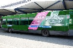 Les bus RATP se mettent au vert pour France Galop