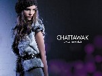 Chattawak habille les murs de Paris