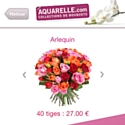 Aquarelle permet d'envoyer des fleurs depuis son iPhone