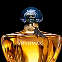 Shalimar, un parfum inspiré de l'Inde