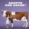 Après Adopte un mec, Adopte une vache