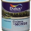 Dulux Valentine poursuit sa révolution chromatique