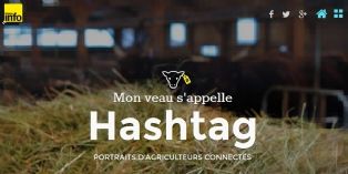 Mon veau s'appelle hashtag