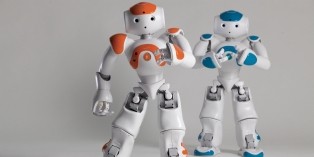 Récemment, on a vu le robot Nao (Aldebaran Robo­tics) chez Sephora Flash, Darty ou Carrefour en Espagne.