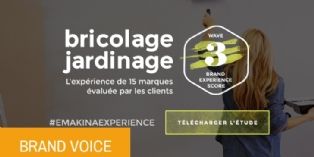 Quand les français évaluent l'expérience de 15 marques de bricolage et de jardinage.