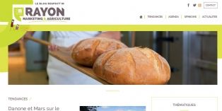 Landing Page du blog 'Rayon Marketing & Agriculture '