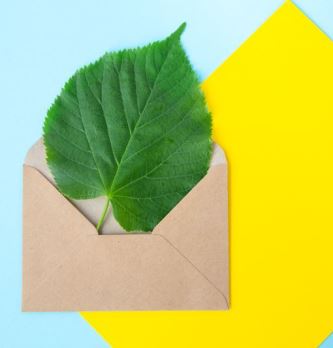 6 conseils pour rendre votre <span class="highlight">courrier</span> plus écologique